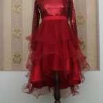 Sequence Net Frock With Net Frills